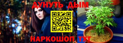 спиды Аша