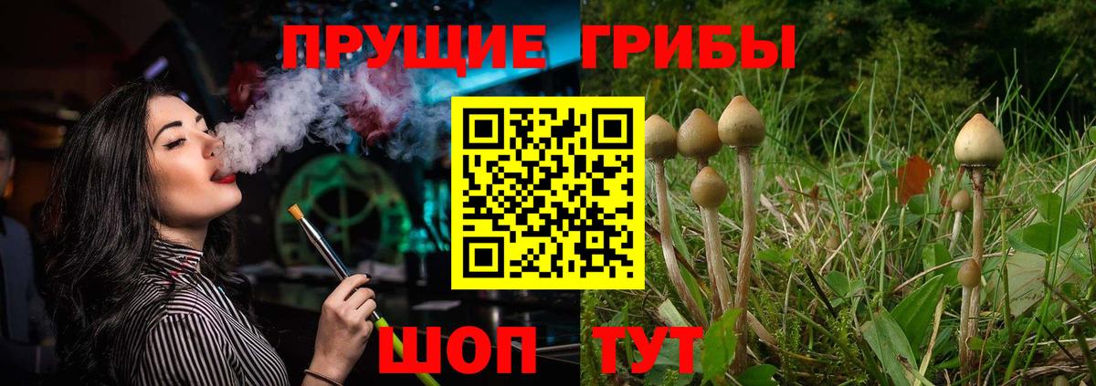 Артём  Псилоцибиновые грибы ЛСД  Вход с VPN  Галлюциногенные грибы Magic Shrooms 